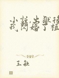 小说,出狱后,我闪婚了植物人大佬