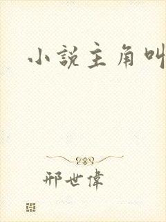 小说主角叫江凡