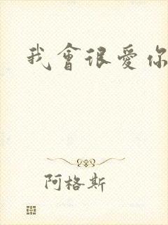 我会很爱你歌词