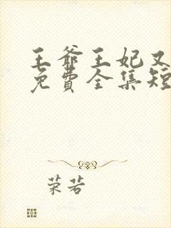 王爷王妃又跑了免费全集短剧