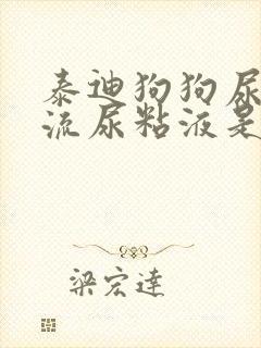 泰迪狗狗尿道口流尿粘液是咋回事