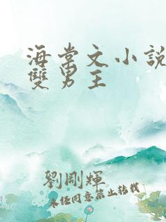 海棠文小说推荐双男主