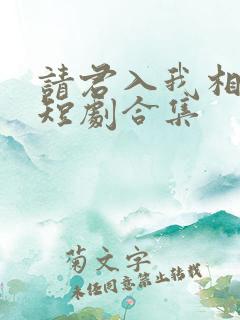 请君入我相思局短剧合集