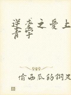 逆袭之爱上情敌青宇