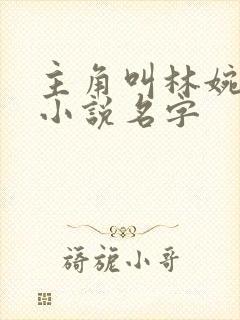 主角叫林婉秋的小说名字