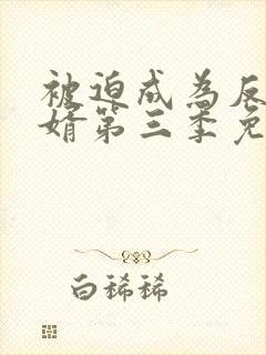 被迫成为反派赘婿第三季免费看