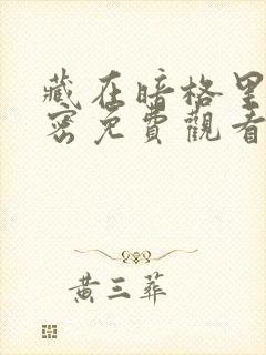 藏在暗格里的秘密免费观看