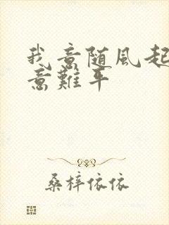 我意随风起风止意难平