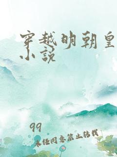 穿越明朝皇帝的小说