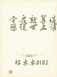 今夜就算这份爱恋从世上消失免费观看中文版