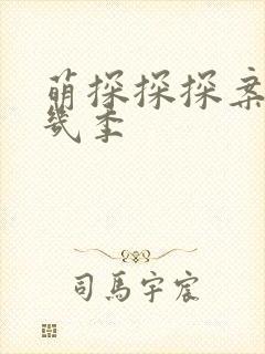 萌探探探案一共几季