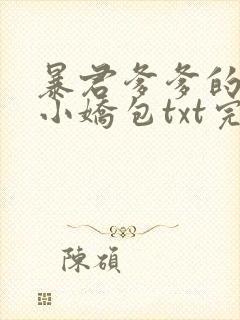 暴君爹爹的团宠小娇包txt完整版