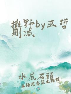 撒野by巫哲未删减