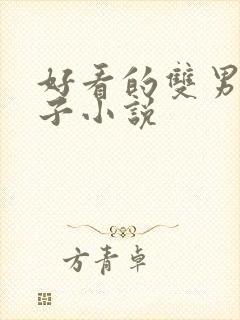 好看的双男主生子小说