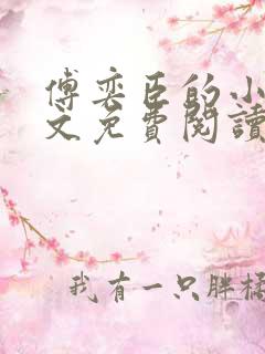 傅奕臣的小说全文免费阅读