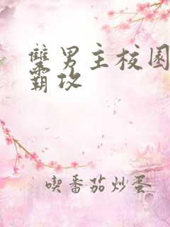 双男主校园文校霸攻