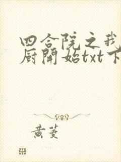 四合院之我是大厨开始txt下载