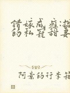 错嫁成瘾:总裁的私宠甜妻