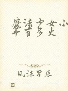 魔法少女小圆当年有多火