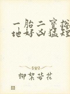 一胎二宝总裁爹地好凶猛短剧