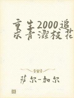 重生2000追求青涩校花同桌开始 小说完整板