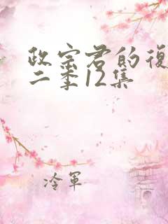 政宗君的复仇第二季12集