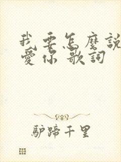 我要怎么说我不爱你 歌词