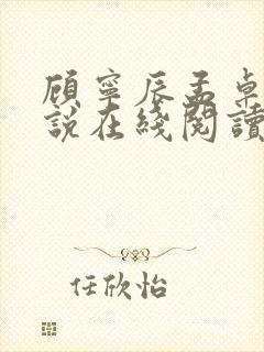 顾宁辰孟卓钰小说在线阅读