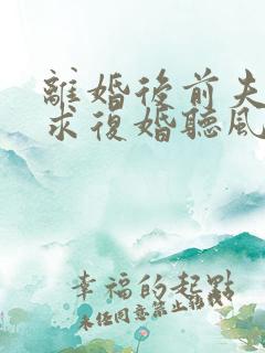 离婚后前夫哭着求复婚听风说雾正版