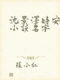 沈景泽时安乔月小说名字