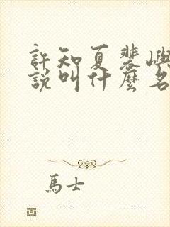 许知夏裴屿安小说叫什么名字