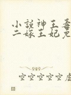 小说神王毒宠:二嫁王妃免费看