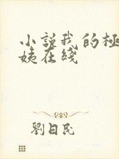 小说我的极品小姨在线