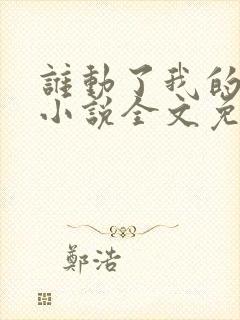 谁动了我的老婆小说全文免费阅读