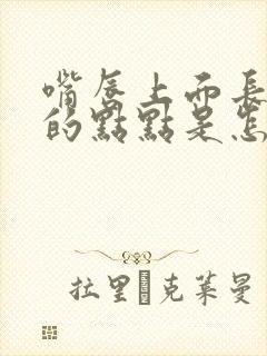 嘴唇上面长白色的点点是怎么回事