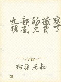 九部的检察官电视剧免费下载