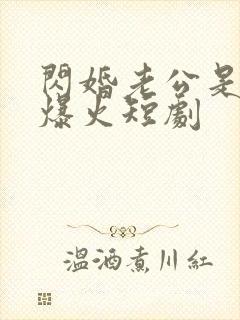 闪婚老公是总裁爆火短剧