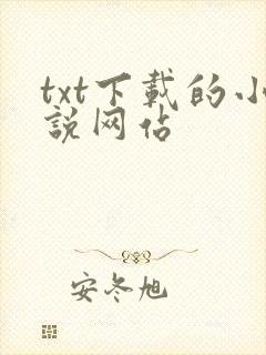 txt下载的小说网站