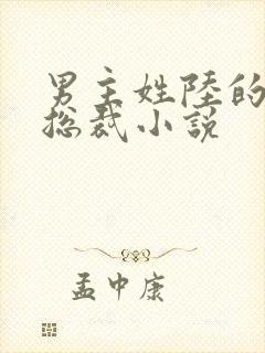 男主姓陆的所有总裁小说
