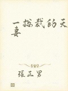 一总裁的天价前妻