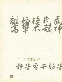 离婚后我成前妻高攀不起神