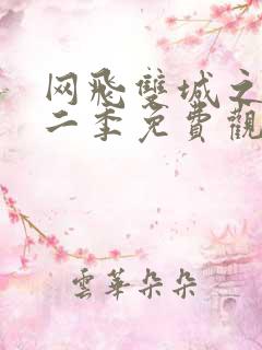 网飞双城之战第二季免费观看