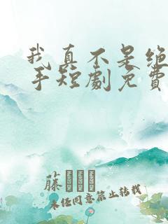 我真不是绝世高手短剧免费观看全集