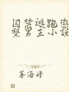 囚禁逃跑惩罚的双男主小说免费攻略