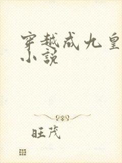 穿越成九皇子的小说
