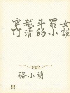 穿越斗罗女主朱竹清的小说