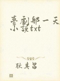 台剧那一天原著小说txt