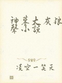 神墓大灰狼版有声小说