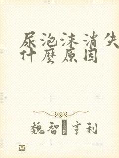 尿泡沫消失慢是什么原因