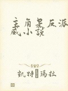 主角是反派的漫威小说